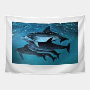 ATLANTIC DOLPHINS Tapestry