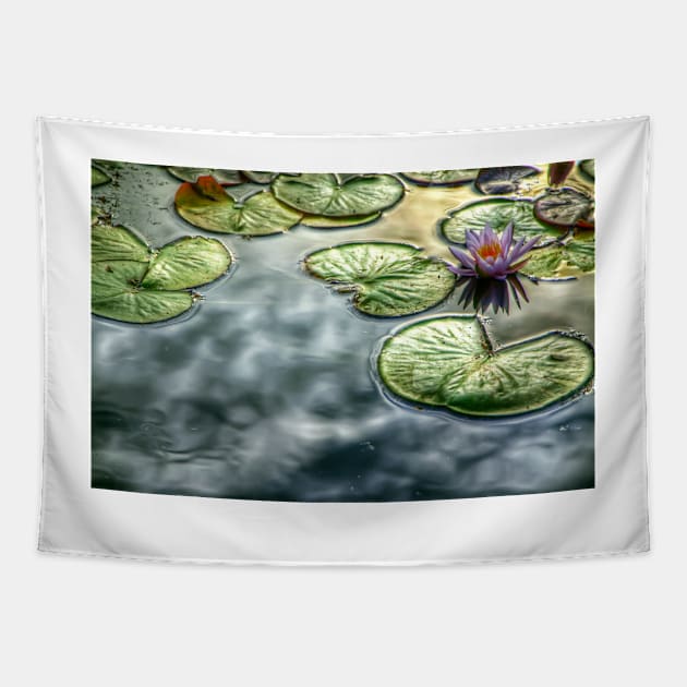 Sunlight on a Pond Tapestry by jswolfphoto