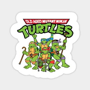 Old turtles Magnet