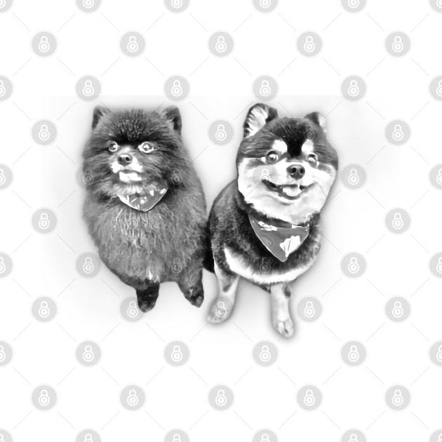 Mini Pomeranian Sketch Art Design by Kawaii Sketch