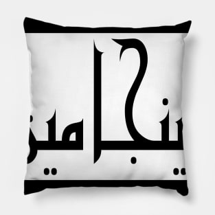 Benjamin in Cat/Farsi/Arabic Pillow