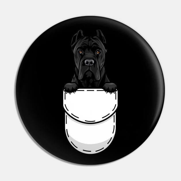 Pin on CANE CORSO