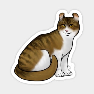 Cat - American Curl - Shorthair White and Tabby Magnet