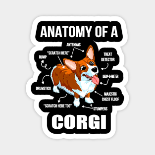 Dog anatomy of a corgifunny dog314 paws Magnet