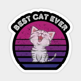 best cat ever poster Magnet