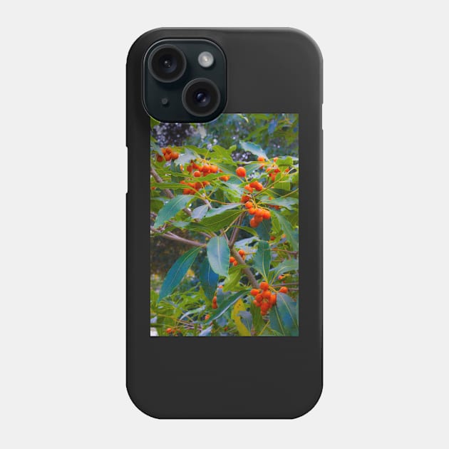 fascinating nature Phone Case by terezadelpilar