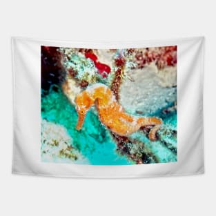 Orange Caribbean Sea Horse Tapestry