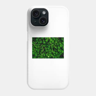 Succulents Phone Case