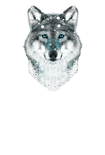 45 Wolf Let it SNOW Magnet