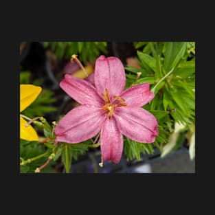 Pink Star Flower T-Shirt