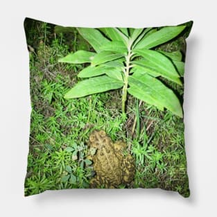 Toad Plants Pillow