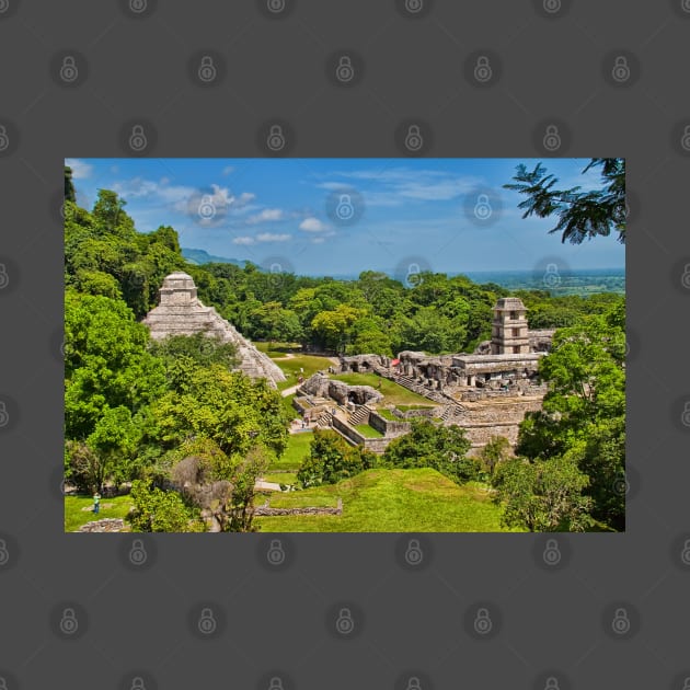 Palenque. View from the Temple of the Cross. by vadim19