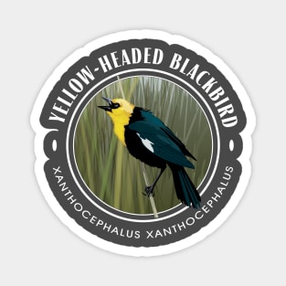 Yellow-Headed Black Bird Round Magnet