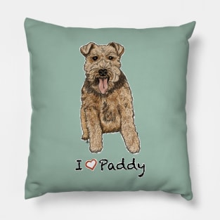 Paddy Pillow