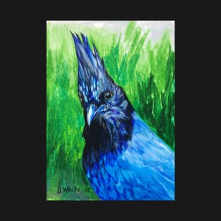 Stellers Jay T-Shirt