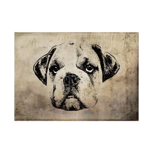 Bulldog T-Shirt