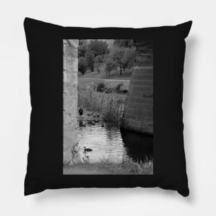 Boy feeding the ducks Pillow