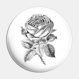 Rose Flower Pin