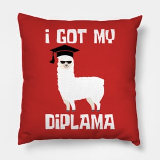 graduation Pillow