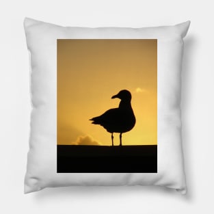 Seagull Pillow