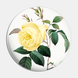 Yellow Rose Pin