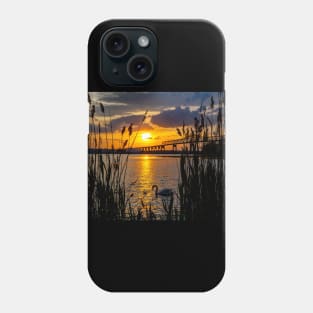 Swans at Sunset Phone Case