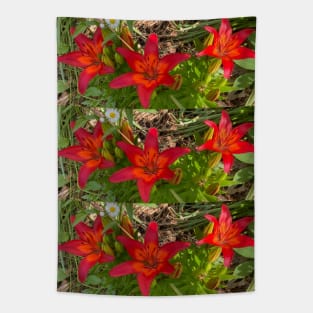 Bold Lillies Tapestry