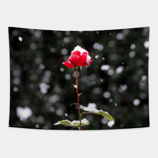 Defiance Red Rose In Winter Rose Tapestry Teepublic