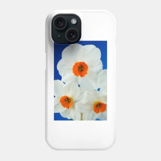 Narcissus  'Geranium'  AGM  Daffodil  Div. 8 Tazetta Phone Case