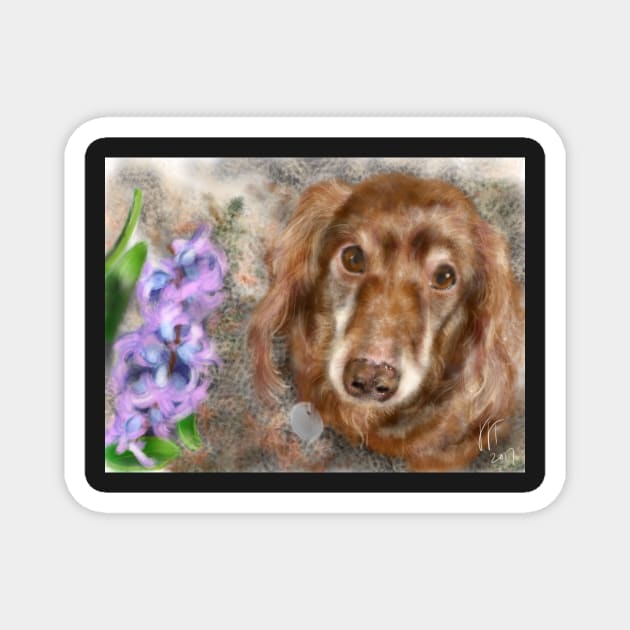 Long Hair Dachshund with a Purple Hyacinth Magnet by LITDigitalArt