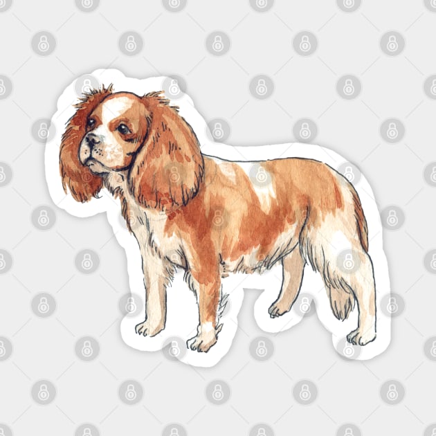 Watercolor Dog Cavalier King Charles Spaniel Magnet by voidea