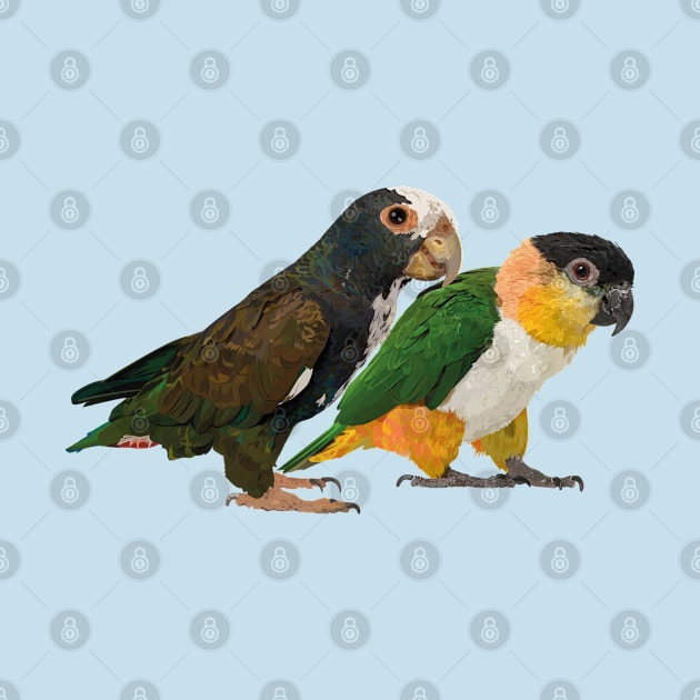 Caique and parrot by obscurite