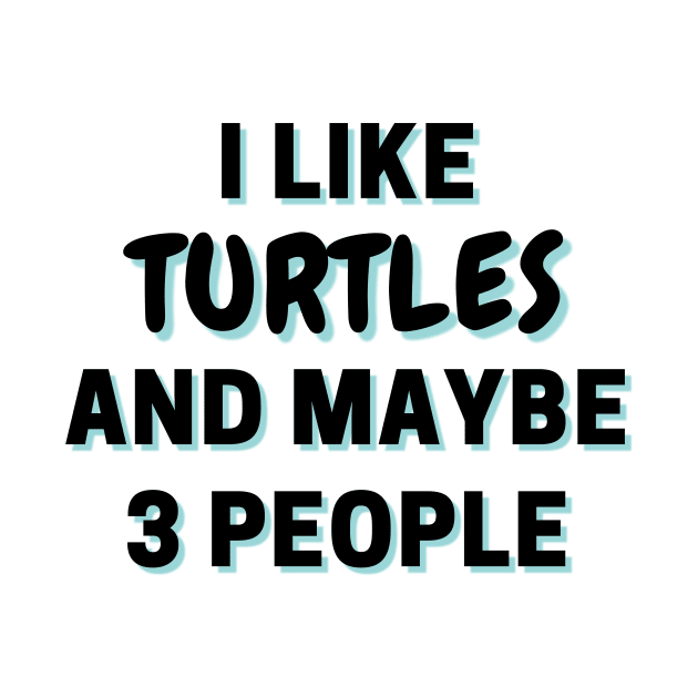 I Like Turtles And Maybe 3 People by Word Minimalism