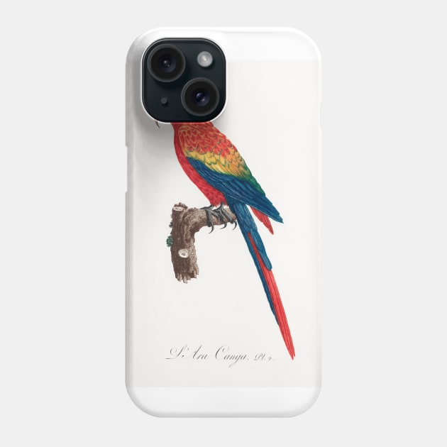 Ara Canga from Natural History of Parrots (1801—1805) by Francois Levaillant. Phone Case by Elala