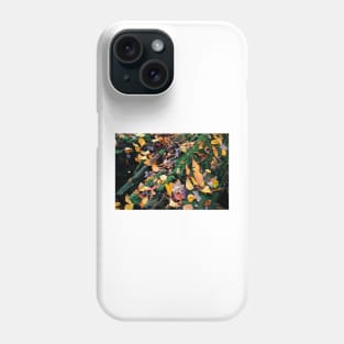 Autumn Renewal Phone Case