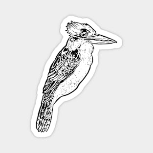 Black and White Kookaburra Illustration Magnet