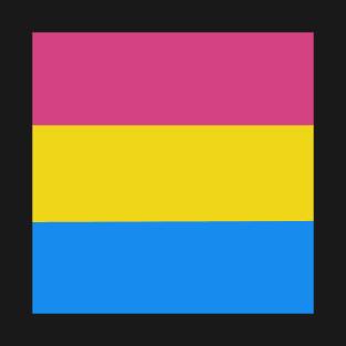 Pansexual T-Shirt