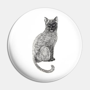 Cat Pin