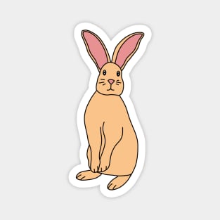 Bunny Rabbit Magnet