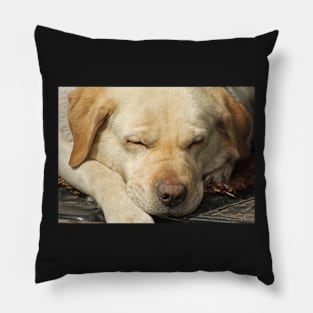 Sleepy Labrador Pillow