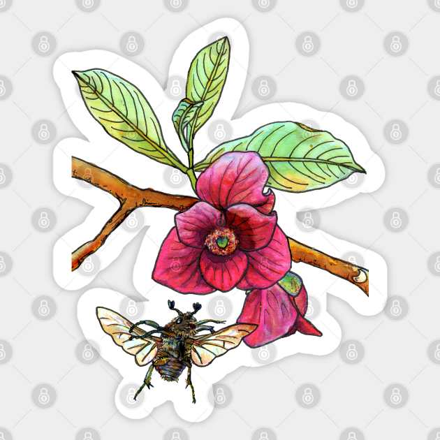 Pawpaw and Bumble Beetle - Nature Drawing - Sticker