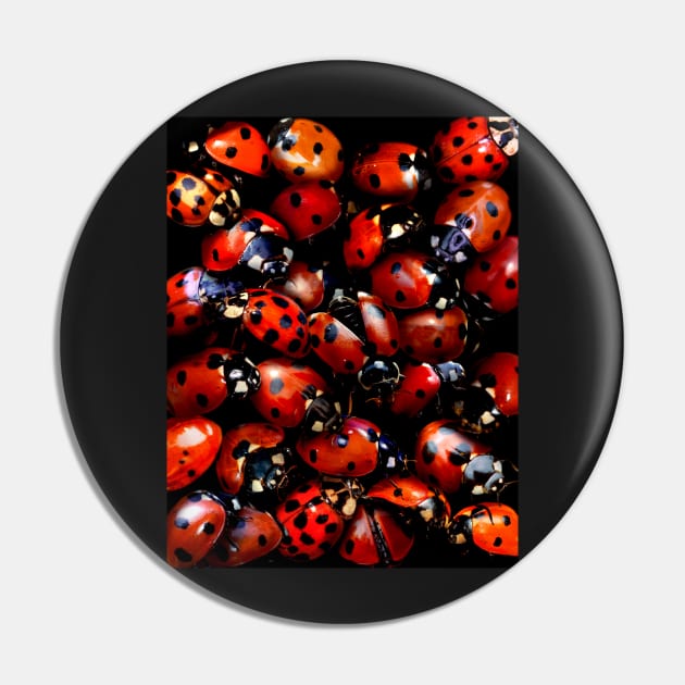 Ladybugs Pin by MaxencePierrard