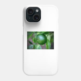 Cam Sanh Phone Case