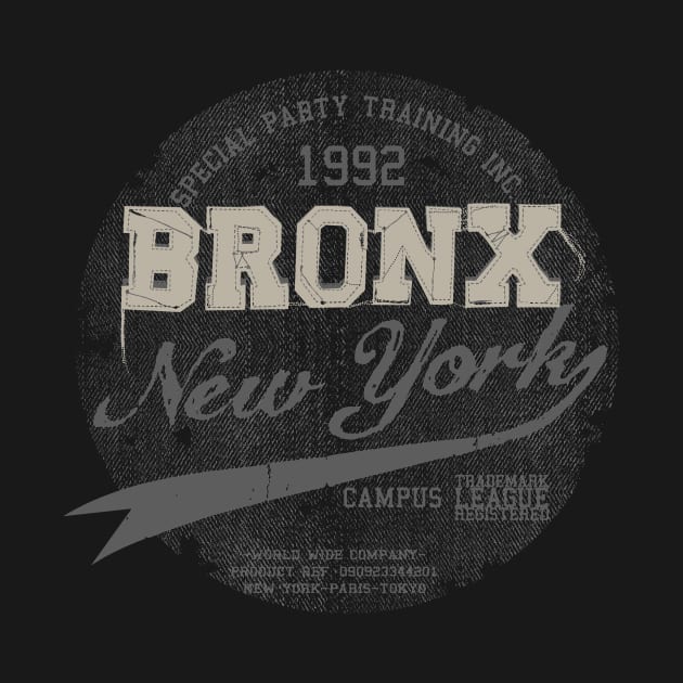 bronx new york by hayr pictures