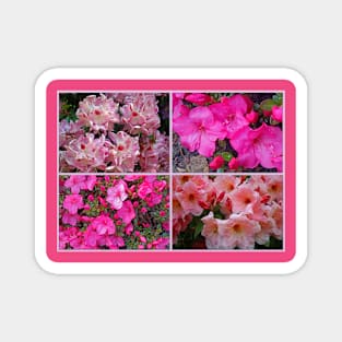 An Assembly of Azaleas Magnet