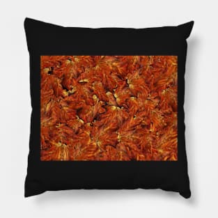 Autumn Pillow