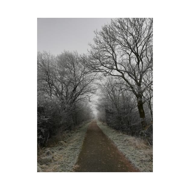 Frozen pathway in freezing fog by esvb