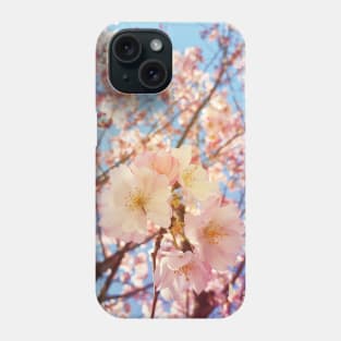 Cherry tree Phone Case