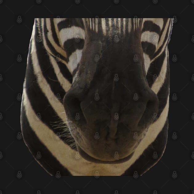 Zebra Mouth by ellenhenryart