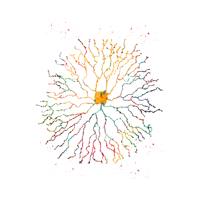 Starburst neuron by erzebeth